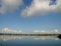 NL, Flevoland, Lelystad, Oostvaardersplassen 6, Foto Fitis-Sytske Dijksen