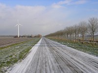 NL, Flevoland, Zeewolde 13, Saxifraga-Henk Sierdsema