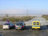 NL, Flevoland, Zeewolde 14, Saxifraga-Henk Sierdsema