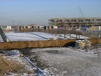 NL, Flevoland, Zeewolde 20, Saxifraga-Henk Sierdsema