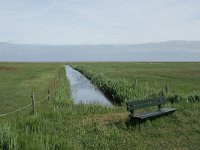 NL, Friesland, Ameland, Het Oerd 3, Saxifraga-Dirk Hilbers