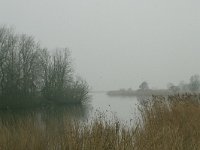 NL, Friesland, Dantumadeel, Kollumerzwaag 1, Saxifraga-Hans Boll