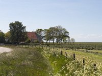 Typical rural landscape of southwestern part of Dutch province Friesland  Typical rural landscape of southwestern part of Dutch province Friesland : agricultural, agriculture, cloudscape, europe, european, farmland, grass, grassland, Holland, landscape, meadow, pasture, room, rural, sky, skyscape, field, no people, nobody, outdoors, outside, farm, cow parsley, ditch, flower, flowers, parsley