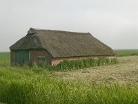 NL, Friesland, Dongeradeel, Anjum 3, Saxifraga-Hans Boll