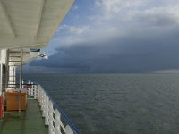 NL, Friesland, Harlingen, Waddenzee 1, Saxifraga-Jan van der Straaten