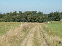 NL, Friesland, Nijefurd, Scharl 1, Saxifraga-Jan van der Straaten