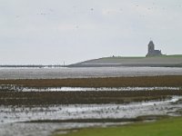 NL, Friesland, Noardeast-Fryslan, 't Skoar (Het Schoor) bij Ternaard 4, Saxifraga-Tom Heijnen