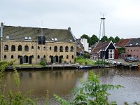 NL, Friesland, Noardeast-Fryslan, Dokkum 2, Saxifraga-Tom Heijnen