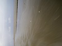 Engelsmanplaat, Waddenzee  Engelsmanplaat, Waddenzee : natuur, natura 2000-gebied, cloudy, zandplaat, geul, nationaal landschap, nature reserve, bewolkt, grey, open, opkomend tij, Friesland, low tide, voorjaar, grauw, wijds, natuurbeleving, open landschap, stroom, wijd, Wadplaat, beschermd natuurgebied, regenachtig, water, landscape, Engelsmanplaat, Waddenzee, rainy, stroming, laagwater, Frysia, staatsbosbeheer, slenk, laag water, Natura 2000, flow, sea, Fryslan, lente, IBA, Wadden Sea, zee, eb, landschap, Wadden, nature