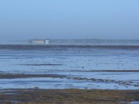 NL, Friesland, Noardeast-Fryslan, Moddergat wad 2, Saxifraga-Foto Fitis-Sytske Dijksen
