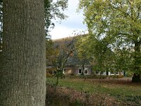 NL, Friesland, Noardeast-Fryslan, Veenklooster 4, Saxifraga Hans Boll