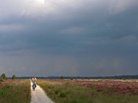 NL, Friesland, Ooststellingwerf, Fochteloerveen 11, Saxifraga-Hans Dekker