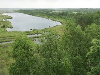 NL, Friesland, Ooststellingwerf, Fochteloerveen 4, Saxifraga-Tom Heijnen