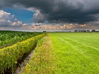 brooding summer sky above dutch agricultural landscape  brooding summer sky above dutch agricultural landscape : achtergrond, agrarisch, agrarische, agricultural, agriculture, background, biotoop, blauw, blue, brooding, canal, cloud, clouds, copy space, corn, country, countryside, creative nature, ditch, drain, drainage, draining, dramatic, dramatische, dreigend, dreigende, dutch, farm, field, fresh, gras, grass, green, greppel, groen, holland, land, landbouw, landelijk, landscape, landschap, licht, light, lucht, maïs, meadow, mood, natural, nature, natuur, natuurlijk, natuurlijke, nederland, nederlands, niemand, nobody, omgeving, onweer, plant, platteland, rudmer zwerver, rural, sky, sloot, spoor, storm, summer, track, trail, veld, water, weide, weiland, white, wit, wolk, wolken, zomer