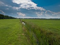 dramatic sky above agricultural landscape  dramatic sky above agricultural landscape : achtergrond, agrarisch, agrarische, agricultural, agriculture, background, biotoop, blauw, blue, canal, cloud, clouds, copy space, country, countryside, creative nature, ditch, drain, drainage, draining, dramatic, dramatische, dreigend, dreigende, dutch, farm, field, fresh, gras, grass, green, greppel, groen, holland, land, landbouw, landelijk, landscape, landschap, licht, light, lucht, meadow, mood, natural, nature, natuur, natuurlijk, natuurlijke, nederland, nederlands, niemand, nobody, omgeving, onweer, plant, platteland, rudmer zwerver, rural, sky, sloot, spoor, storm, summer, veld, water, weide, weiland, white, wit, wolk, wolken, zomer