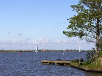 Typical landscape with lake of Dutch province Friesland  Typical landscape with lake of Dutch province Friesland : sky, skyscape, cloud, clouds, cloudscape, outside, outdoor, landscape, rural landscape, countryside, rural scene, non-urban scene, lake, water, land, Friesland, Frylan, Dutch, Holland, Netherlands, Europe, European, no people, nobody, summer, summertime, spring, springtime, room, recreation, reed, relaxation, sailing, sailing ship, jetty, tree, water sports, aquatic sport, horizon, horizon over water