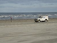 NL, Friesland, Terschelling, Boschplaat 28, Saxifraga-Jan van der Straaten