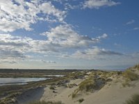 NL, Friesland, Terschelling, Boschplaat 7, Saxifraga-Jan van der Straaten