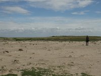 NL, Friesland, Terschelling, Boschplaat 73, Saxifraga-Dirk Hilbers