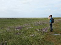 NL, Friesland, Terschelling, De Grie 15, Saxifraga-Dirk Hilbers