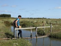 NL, Friesland, Terschelling, De Grie 19, Saxifraga-Dirk Hilbers