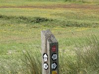 NL, Friesland, Terschelling, De Grie 30, Saxifraga-Dirk Hilbers