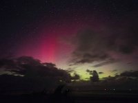 NL, Friesland, Vlieland, Aurora 2, Saxifraga-Bart Vastenhouw