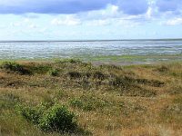 NL, Friesland, Vlieland, Dodemans Bol 6, Saxifraga-Hans Boll