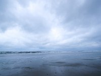 NL, Friesland, Vlieland, Northwest beach 1, Saxifraga-Bart Vastenhouw