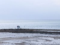 NL, Friesland, Vlieland, Oostvlieland 1, Saxifraga-Bart Vastenhouw