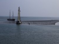 NL, Friesland, Vlieland, Wad 1, Saxifraga-Hans Boll