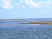 NL, Friesland, Vlieland, Wad 9, Saxifraga-Hans Boll