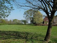 NL, Friesland, Wunseradeel, Makkum 7, Saxifraga-Hans Dekker