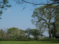 NL, Friesland, Wunseradeel, Makkum 8, Saxifraga-Hans Dekker