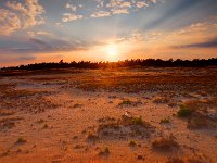 The sun is setting over wind swept sand dunes  The sun is setting over wind swept sand dunes : atmosphere, background, beam, beautiful, bright, calm, cloud, countryside, creative nature, dawn, dune, dusk, environment, field, forest, fresh, grass, green, hdr, heath, heather, heathland, holland, idyllic, landscape, landschap, light, mood, national, natural, nature, nederland, nobody, organic, outdoor, outdoors, park, path, pathway, peace, picturesque, plants, ray, reserve, rudmer zwerver, rural, sand, serene, serenity, sky, stick, summer, sun, sunlight, sunrise, sunset, tree, trees, walks, wood