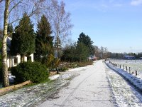 NL, Gelderland, Apeldoorn, Loenermark 1, Saxifraga-Henk Sierdsema