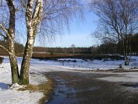 NL, Gelderland, Apeldoorn, Loenermark 19, Saxifraga-Henk Sierdsema