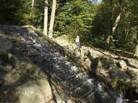 NL, Gelderland, Arnhem, Beekhuizerbeek 2, Saxifraga-Jan van der Straaten