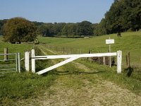 NL, Gelderland, Arnhem, Klarenbeek 10, Saxifraga-Jan van der Straaten