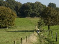 NL, Gelderland, Arnhem, Klarenbeek 11, Saxifraga-Jan van der Straaten