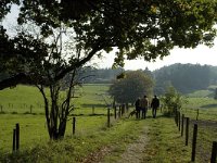 NL, Gelderland, Arnhem, Klarenbeek 16, Saxifraga-Marijke Verhagen