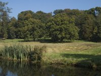 NL, Gelderland, Arnhem, Sonsbeek 2, Saxifraga-Marijke Verhagen