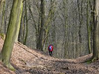 NL, Gelderland, Berg en Dal, Landgoed De Holthurnsche Hof 1, Saxifraga-Tom Heijnen