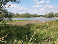 NL, Gelderland, Berg en Dal, Millingerwaard 13, Saxifraga-Tom Heijnen