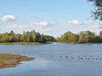 NL, Gelderland, Berg en Dal, Millingerwaard 23, Saxifraga-Tom Heijnen