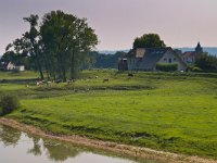 Old vintage buildings in european riverside landscape  Old vintage buildings in european riverside landscape : agrarische, agricultural, agriculture, architecture, architectuur, atmosphere, bomen, building, cathedral, church, city, cow, creative nature, dutch, europe, european, field, gebouw, gelderland, geschiedenis, gras, grass, green, groen, hemel, high, historic, historisch, history, holland, hoog, horizon, kerk, koe, landbouw, landmark, landscape, landschap, mood, nature, natuur, nederland, nederlands, niemand, nobody, old, ontspanning, ooij, oriëntatiepunt, oud, path, red, relaxation, rhein, rhine, rijn, river, riverside, rivier, rood, rudmer zwerver, scene, scène, sfeer, sky, stemming, summer, toerisme, toren, tourism, tourist, tower, town, travel, trees, ubbergen, uitzicht, veld, view, vintage, waal, walk, wandelen, water, way, weg, zomer