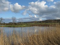 NL, Gelderland, Berg en Dal, Ooypolder 4, Saxifraga-Harry van Oosterhout