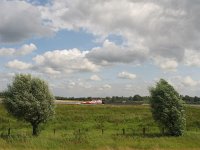 NL, Gelderland, Berg en Dal, Ooypolder 7, Saxifraga-Harry van Oosterhout