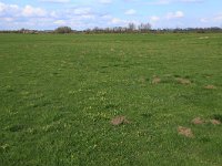 NL, Gelderland, Brummen, Cortenoever 39, Saxifraga-Hans Boll