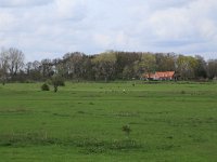 NL, Gelderland, Brummen, Cortenoever 76, Saxifraga-Hans Boll